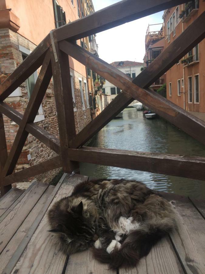 Tintoretto 1 Con Terrazza Sopra Il Tetto, 3 Bagni, 3 Grandi Camere Da Letto, Super Nuovo Venedig Exterior foto